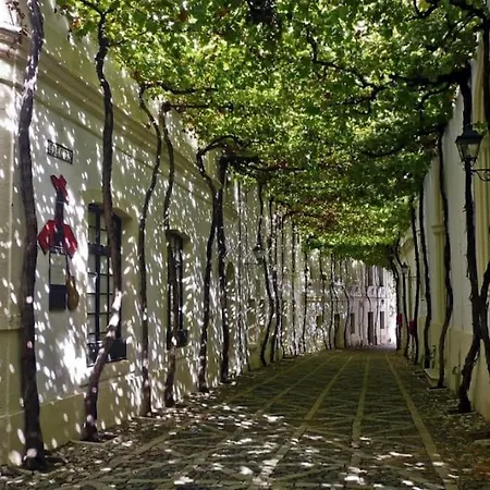 Apartamento En El Centro De Jerez * Jerez de la Frontera